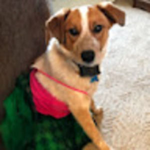 Meet your Posher, Jennafer